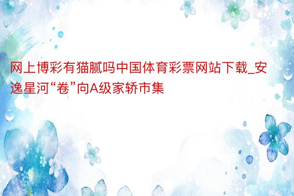 网上博彩有猫腻吗中国体育彩票网站下载_安逸星河“卷”向A级家轿市集